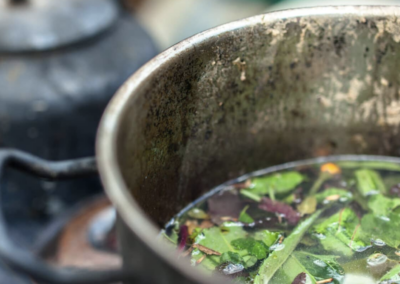 Ayahuasca and Harmine: A New Hope in Pain Management